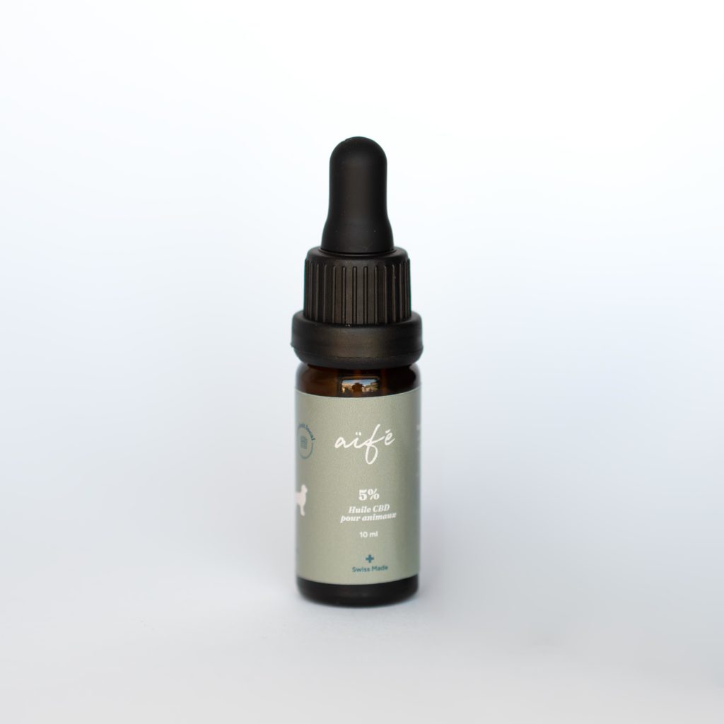 Flasche mit 5%igem CBD-Öl für große Hunde auf neutralem Hintergrund