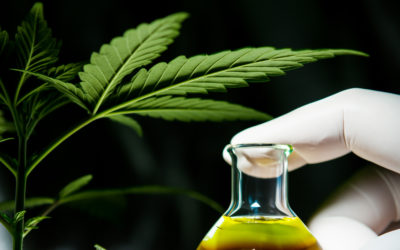 Cannabinoide und ihre Wirkungen