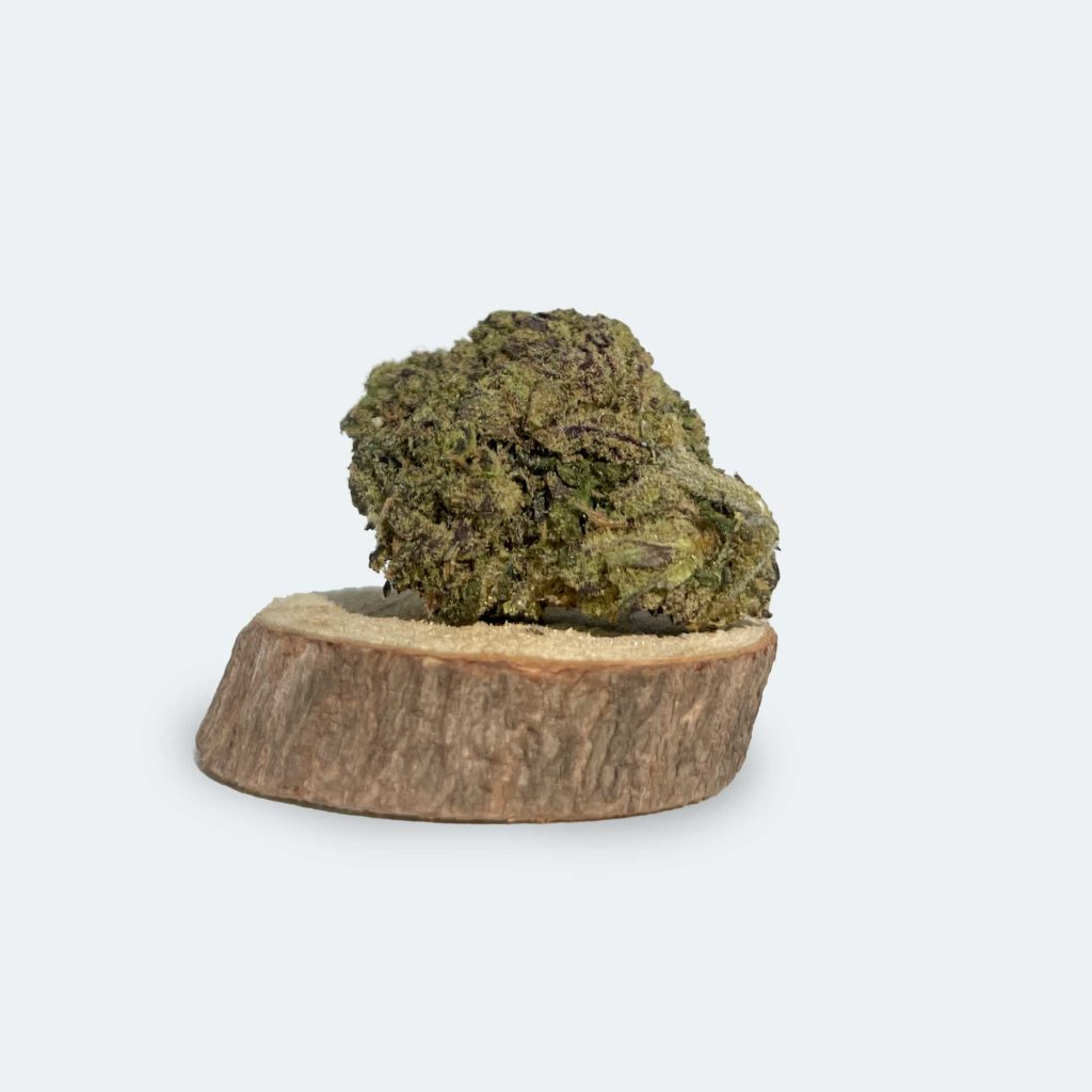 Photo produit d'une fleur de CBD Gelato sur fond neutre.